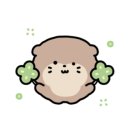 와츠업(WHATS UP) 이미지