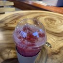 파인트리비 이미지