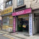 펫디자이너 시나 이미지