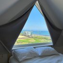 밭담 | [제주 구좌] 제주도 동쪽 월정리 오션뷰 감성숙소 “바람의 언덕” 내돈내산 후기, 물놀이 스팟 공유