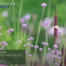 효정Flower