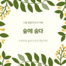 카페숲 네이버블로그