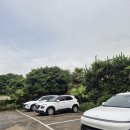 세오니네 | 제주도 동쪽 숙소 세오니네민박 유채꽃4 내돈내산 후기