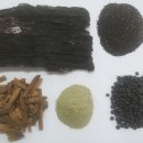 자연과 콩 이미지