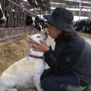 매향농장 이미지