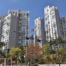 대치1-118 이미지