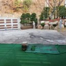 MS스크린 이미지