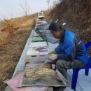 성골 농원 이미지