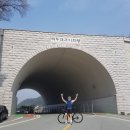 [라타] 벚꽃찾아 삼만리, 문경 투어