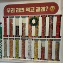 호텔 라벤더 제주 | 제주 에코랜드 테마파크 겨울 방문기｜바람·추위 솔직 후기까지