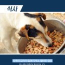 가야동물병원 이미지