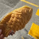 하모니노래방 | 20대들과 50대들의 춤판 하모니를 본 적이 있는감?