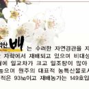 원주원예농협하나로클럽