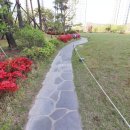 올레부동산공인중개사사무소 이미지