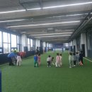 시립아이들세상어린이집 이미지