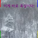 네일세상