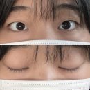 더슈뷰티