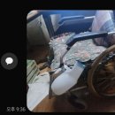 제 사진 오린점 죄송합니다 꼭 차집사.기타등등 힘들대은 하나님아버지말씀대로 해보세요 이미지