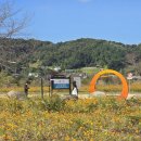 여주-1120 이미지