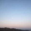 김명자낙지마당 이미지