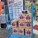 설전기조명