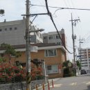 남구-126 이미지