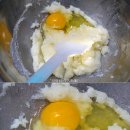 영월동물복지농장 이미지