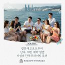 광안1-301 | 광안대교요트투어 단독 10인 예약 방법｜가성비 단독프라이빗 투어