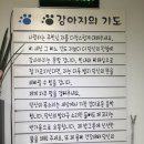 마니사개