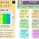 통합사주