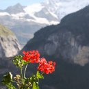 자연의 순환 이미지