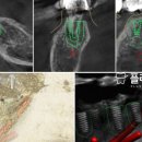 플러스덴치과의원 이미지