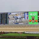 과천분식 | 과천 데이트 코스 추천 렛츠런파크 서울 후기 분식 맛집이라 더 놀람