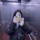 주간일기 12/19 - 12/25 (직장인, 글램핑, 테니스, 크리스마스)