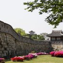 수원-1413 이미지