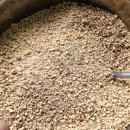 콩이랑 초이랑 이미지