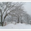 부계중학교 이미지