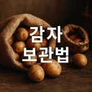 생성의 대지-비상 | 감자 보관법