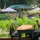 림카페(Rim cafe) | 영종도 숲뷰 베이커리 카페 림 시골 유럽 느낌 데이트 코스