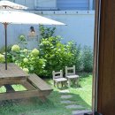 언니네맛집 이미지