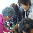 신동경로당 이미지