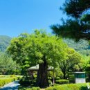 부곡사우나 이미지