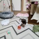 영대연합동물병원 이미지