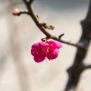 금광호수 이미지