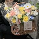 리리플레르