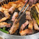 제주한라산도새기