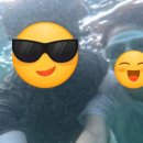 삼일수산식당 이미지