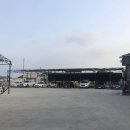 박여사네 세차하러가는날 이미지