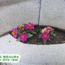 빛고을 행정사 사무소 네이버블로그