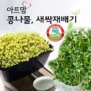 새싹의 맘